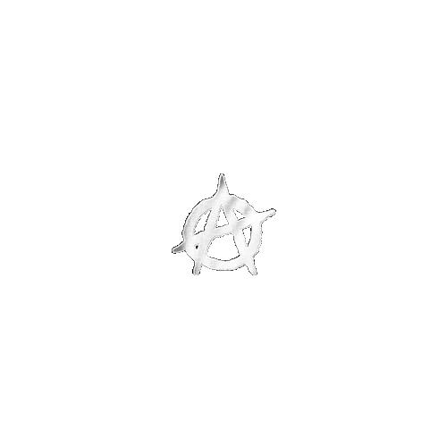 AnarchyUS